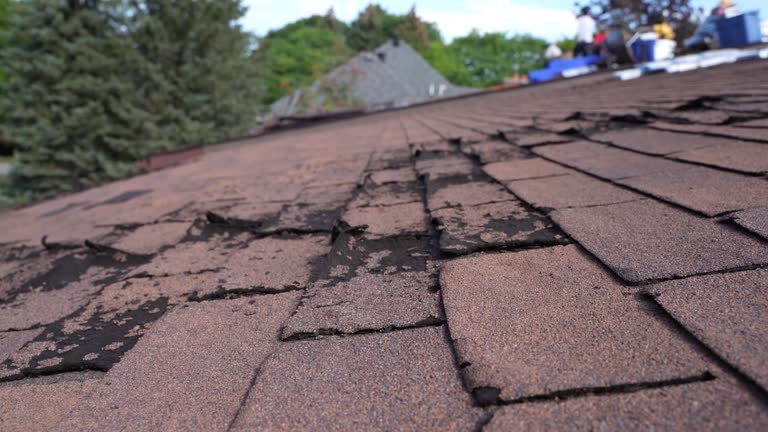 Best Roofing for New Construction  in Trenton, OH